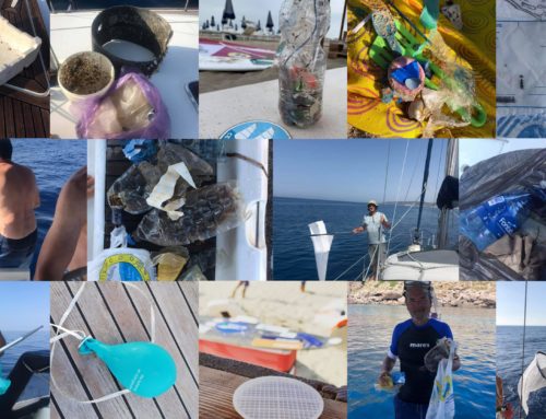 Cacciatori di plastica, il Mediterraneo è più pulito grazie a voi!